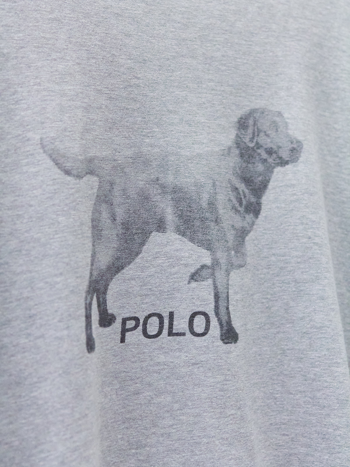 Vintage Polo Ralph Lauren Dog Long-Sleeve T-Shirt
