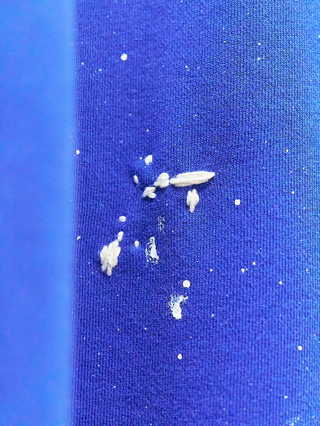 Polo Ralph Lauren Blue Painter's Crewneck